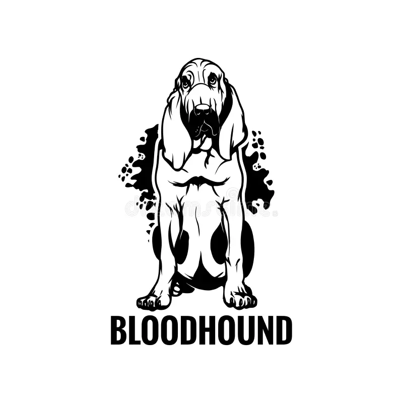 Bloodhoundspet